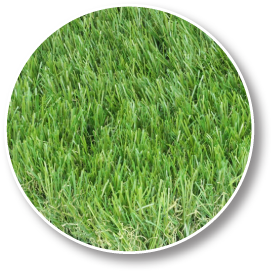 Golden Vale Synthetic Turf - GV Pet - Pet Grade Turf - Pet Approved Turf