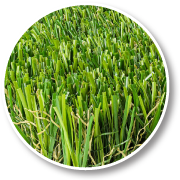 Golden Vale Synthetic Turf - GV Pet - Pet Grade Turf - Pet Approved Turf