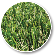Golden Vale Synthetic Turf - GV Prestige -Golden Vale Synthetic Turf - Synthetic Grass - Artificial Turf